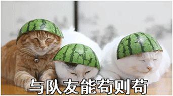 时渔吃瓜宝典,揭秘娱乐圈幕后真相与趣味故事 第2张 时渔吃瓜宝典,揭秘娱乐圈幕后真相与趣味故事 第2张